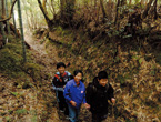野根山街道