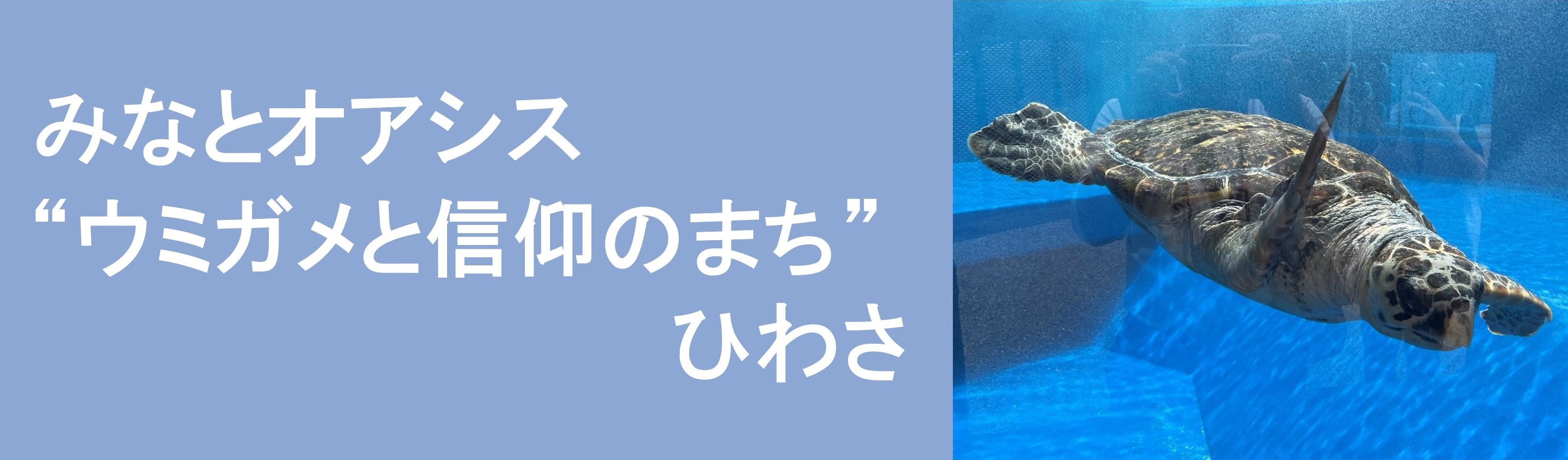 みなとオアシス”ウミガメと信仰のまち”ひわさ